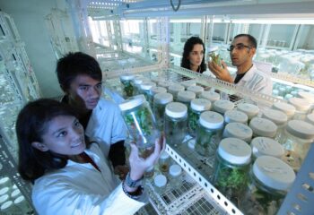 laboratory-385349_1280 laboratory-385349_1280